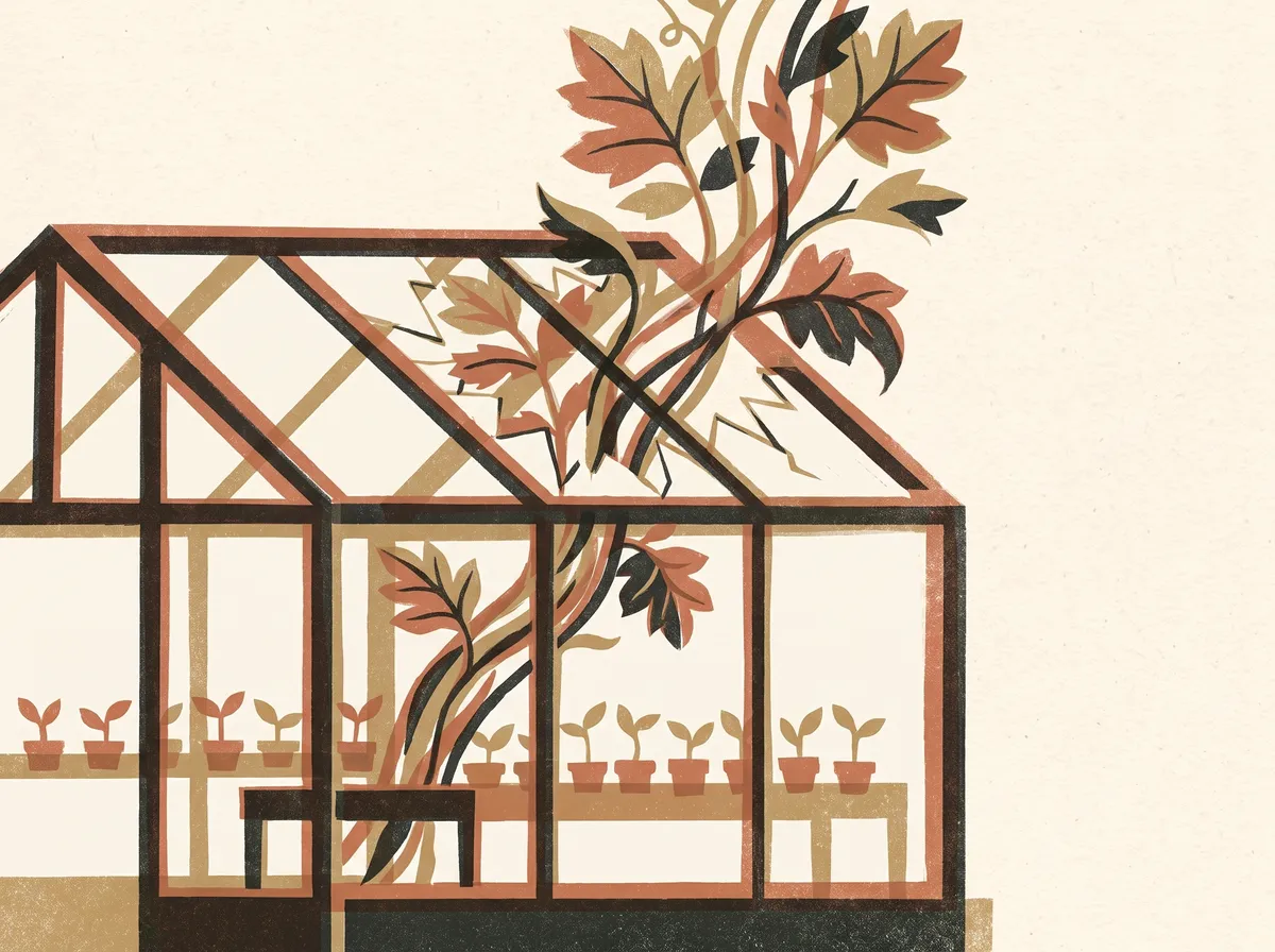 A greenhouse lined with seedlings in small pots, and one large vine that has grown up and broken out through the roof.